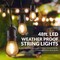 Newhouse Lighting Outdoor 48ft. LED Dimmable String Lights with Remote Control, 16 Bulbs CSTRINGLEDDIM - alternate 7